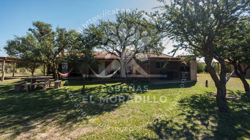 Imagen cargada de forma dinámica