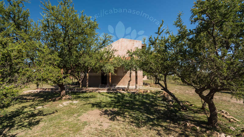 Imagen cargada de forma dinmica