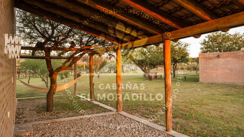 Imagen cargada de forma dinámica