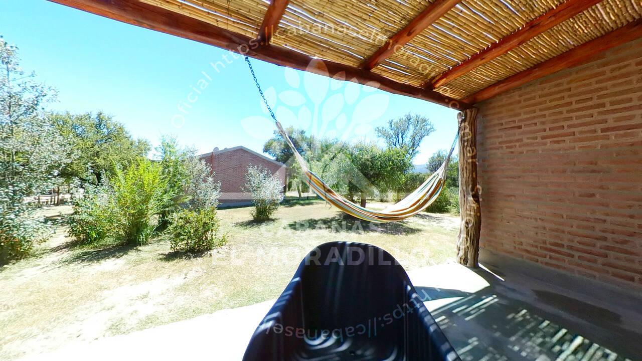 Imagen cargada de forma dinmica